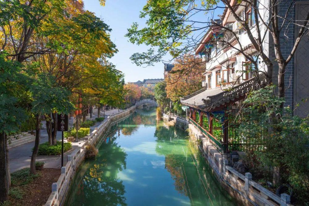 游客暴力抓住海鸥拍照,青岛栈桥景区:海鸥属保护动物,制止未果会报警